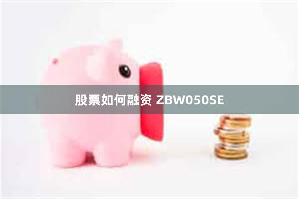 股票如何融资 ZBW050SE