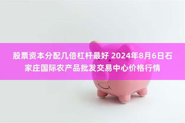 股票资本分配几倍杠杆最好 2024年8月6日石家庄国际农产品批发交易中心价格行情