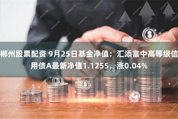 郴州股票配资 9月25日基金净值：汇添富中高等级信用债A最新净值1.1255，涨0.04%