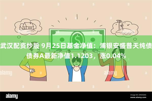 武汉配资炒股 9月25日基金净值：浦银安盛普天纯债债券A最新净值1.1203，涨0.04%