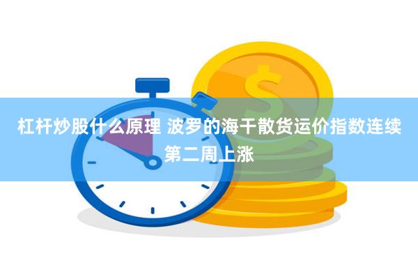 杠杆炒股什么原理 波罗的海干散货运价指数连续第二周上涨