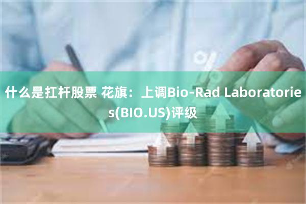 什么是扛杆股票 花旗：上调Bio-Rad Laboratories(BIO.US)评级